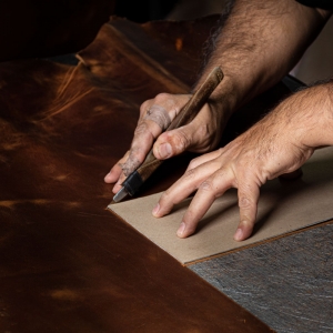  - guadalajara,jalisco