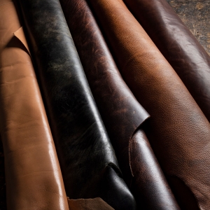  - guadalajara,zapopan